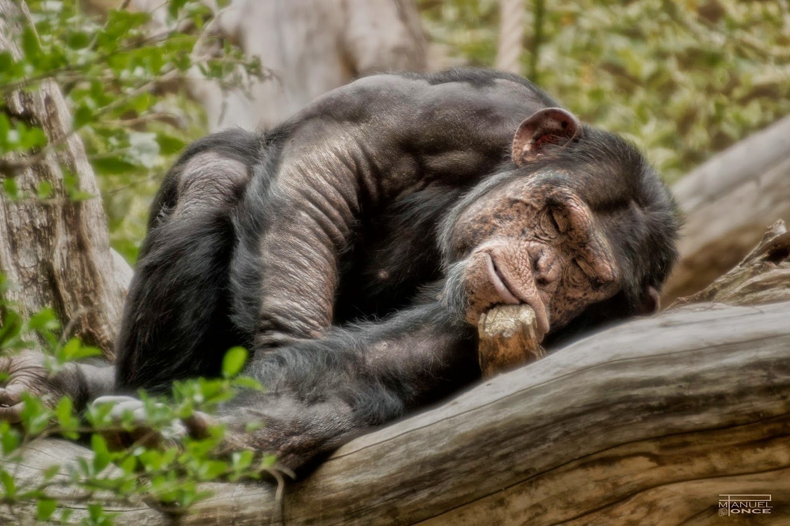 siesta-manuel-ponce-fotografia